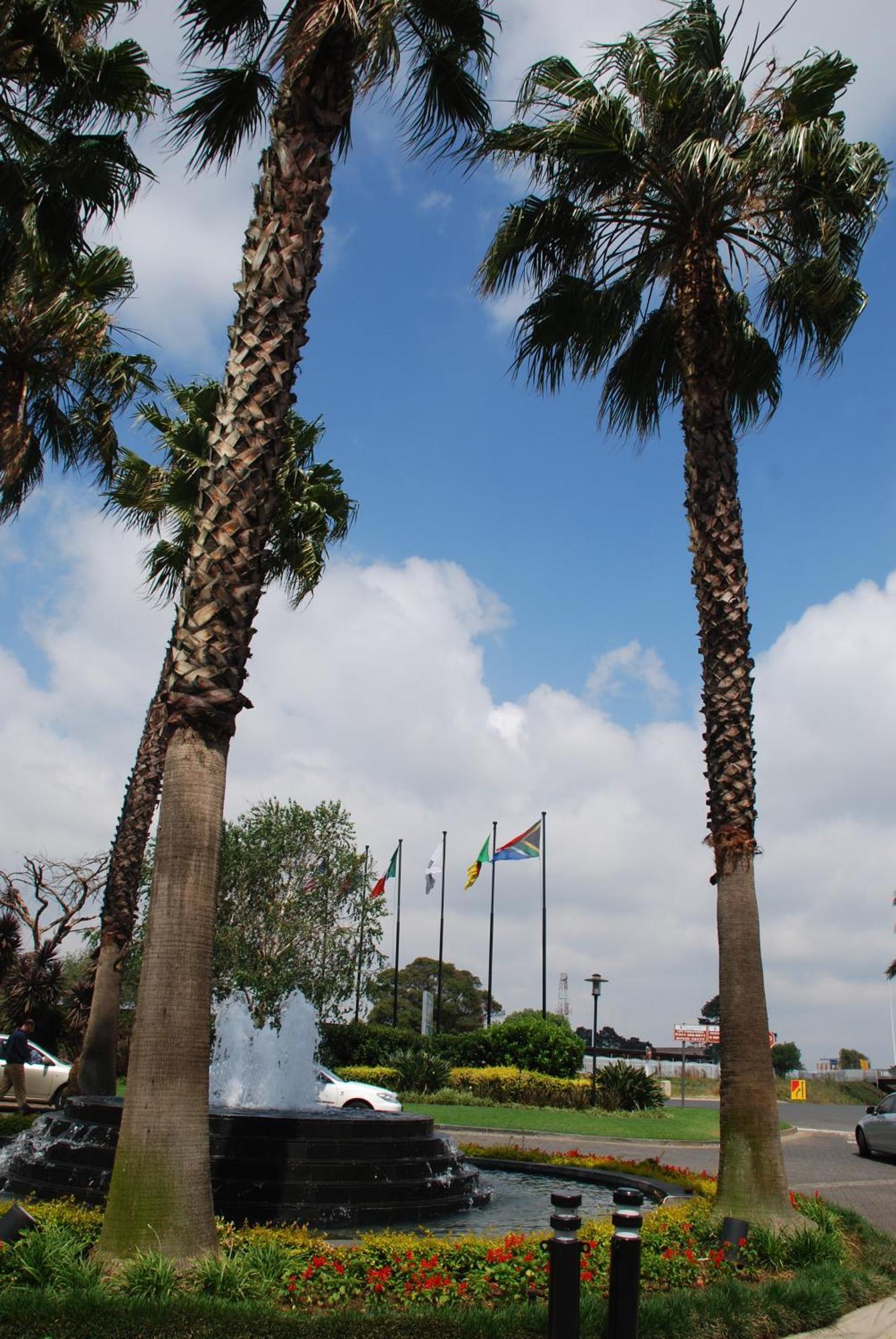 Southern Sun Or Tambo International Airport Кемптън Парк Екстериор снимка Welcome to Port Elizabeth